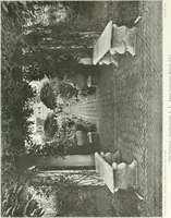 Picture 63 of 174 from Beautiful gardens in America (1915), leaf 164