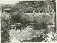 Picture 70 of 174 from Beautiful gardens in America (1915), leaf 176
