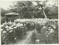 Picture 71 of 174 from Beautiful gardens in America (1915), leaf 176