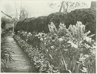 Picture 107 of 174 from Beautiful gardens in America (1915), leaf 250