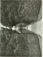 An illustration from Beautiful gardens in America (1915)