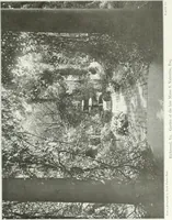 An illustration from Beautiful gardens in America (1915)