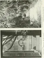 Picture 123 of 174 from Beautiful gardens in America (1915), leaf 286