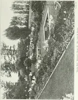 Picture 128 of 174 from Beautiful gardens in America (1915), leaf 304