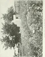 Picture 144 of 174 from Beautiful gardens in America (1915), leaf 334