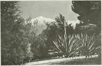 An illustration from Beautiful gardens in America (1915)