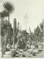 Picture 155 of 174 from Beautiful gardens in America (1915), leaf 354