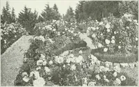 Picture 162 of 174 from Beautiful gardens in America (1915), leaf 366