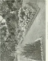 Picture 164 of 174 from Beautiful gardens in America (1915), leaf 376