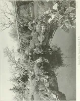 Picture 165 of 174 from Beautiful gardens in America (1915), leaf 378
