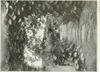Picture 167 of 174 from Beautiful gardens in America (1915), leaf 384