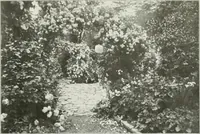 An illustration from Beautiful gardens in America (1915)