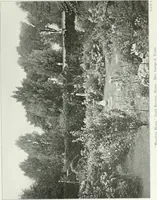 An illustration from Beautiful gardens in America (1915)