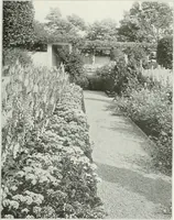 Picture 19 of 174 from Beautiful gardens in America (1915), leaf 72