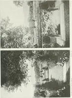 An illustration from Beautiful gardens in America (1915)