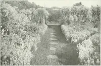 Picture 30 of 174 from Beautiful gardens in America (1915), leaf 90