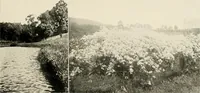 Picture 151 of 160 from Beautiful homes of Morris County and northern New Jersey : containing photographic reproductions ... with a brief description from colonial days to the present time (1900), leaf 112