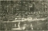 An illustration from Beautiful homes of Morris County and northern New Jersey : containing photographic reproductions ... with a brief description from colonial days to the present time (1900)
