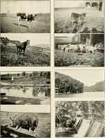 An illustration from Beautiful homes of Morris County and northern New Jersey : containing photographic reproductions ... with a brief description from colonial days to the present time (1900)