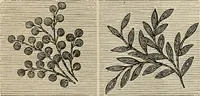 An illustration from Beautiful homes. Or, Hints in house furnishing (1878)