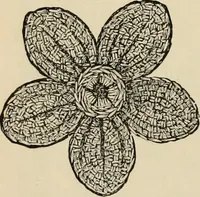 An illustration from Beautiful homes. Or, Hints in house furnishing (1878)