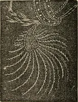 An illustration from Beautiful homes. Or, Hints in house furnishing (1878)