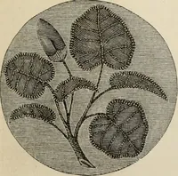 An illustration from Beautiful homes. Or, Hints in house furnishing (1878)