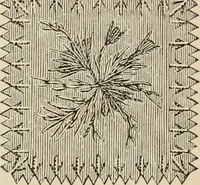 An illustration from Beautiful homes. Or, Hints in house furnishing (1878)