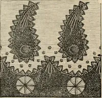 An illustration from Beautiful homes. Or, Hints in house furnishing (1878)