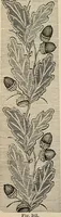 An illustration from Beautiful homes. Or, Hints in house furnishing (1878)