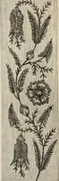An illustration from Beautiful homes. Or, Hints in house furnishing (1878)