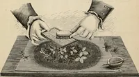 An illustration from Beautiful homes. Or, Hints in house furnishing (1878)