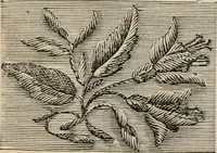 An illustration from Beautiful homes. Or, Hints in house furnishing (1878)