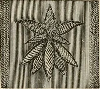 Picture 203 of 325 from Beautiful homes. Or, Hints in house furnishing (1878), leaf 242