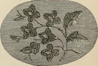 An illustration from Beautiful homes. Or, Hints in house furnishing (1878)