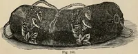 An illustration from Beautiful homes. Or, Hints in house furnishing (1878)