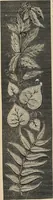 An illustration from Beautiful homes. Or, Hints in house furnishing (1878)