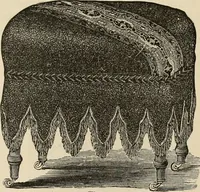 An illustration from Beautiful homes. Or, Hints in house furnishing (1878)