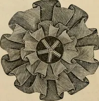 An illustration from Beautiful homes. Or, Hints in house furnishing (1878)