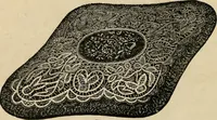 An illustration from Beautiful homes. Or, Hints in house furnishing (1878)
