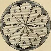 An illustration from Beautiful homes. Or, Hints in house furnishing (1878)