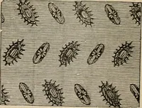 An illustration from Beautiful homes. Or, Hints in house furnishing (1878)