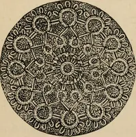 An illustration from Beautiful homes. Or, Hints in house furnishing (1878)