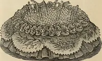 An illustration from Beautiful homes. Or, Hints in house furnishing (1878)