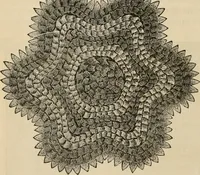 An illustration from Beautiful homes. Or, Hints in house furnishing (1878)