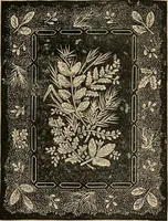 An illustration from Beautiful homes. Or, Hints in house furnishing (1878)