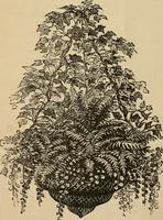 An illustration from Beautiful homes. Or, Hints in house furnishing (1878)