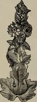 An illustration from Beautiful homes : or, Hints in house furnishing (1878)