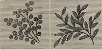 Picture 99 of 345 from Beautiful homes : or, Hints in house furnishing (1878), leaf 155
