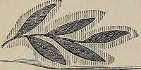 An illustration from Beautiful homes : or, Hints in house furnishing (1878)